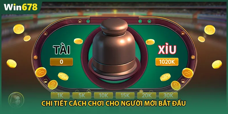 Chi tiết cách chơi cho người mới bắt đầu